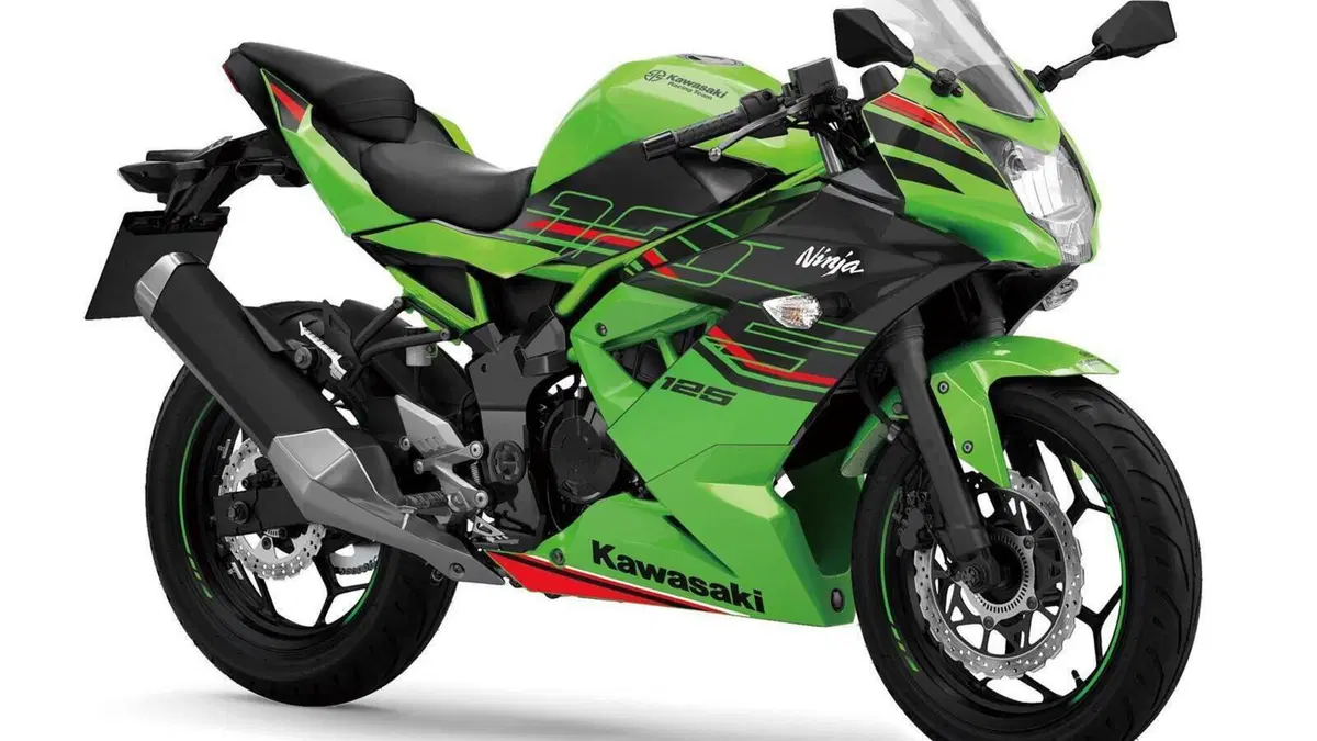 Kawasaki Ninja 125 (2021 - 24)  (2)