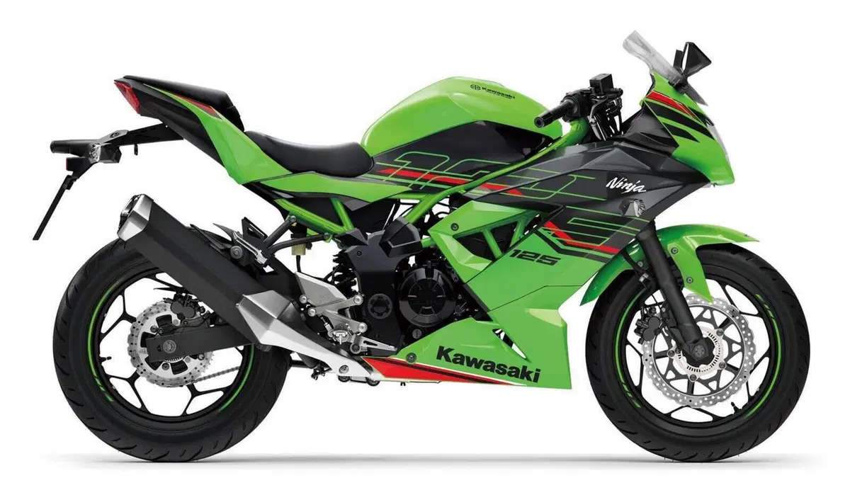 Kawasaki Ninja 125 (2021 - 24)  (3)