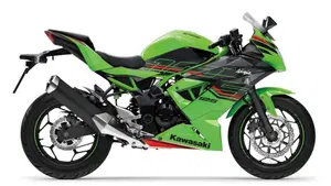 Kawasaki Ninja 125 (2021 - 24)  (3)