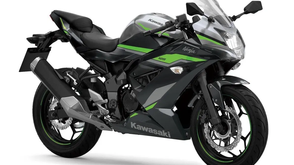 Kawasaki Ninja 125 (2021 - 24)  (4)