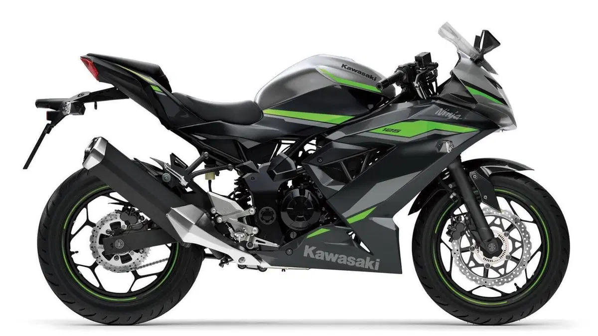 Kawasaki Ninja 125 (2021 - 24)  (5)