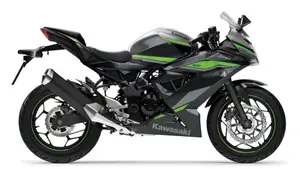 Kawasaki Ninja 125 (2021 - 24)  (5)