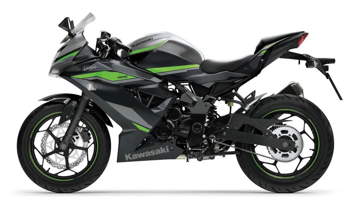 Kawasaki Ninja 125 (2021 - 24)  (6)