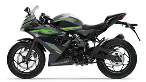 Kawasaki Ninja 125 (2021 - 24)  (6)