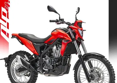 Betamotor Alp 4.0 (2024 - 26) - Annuncio 9396524