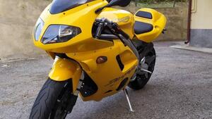 Triumph Daytona 955 I (2003 - 06) 