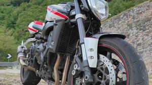 Yamaha FZ1 (2006 - 16) 