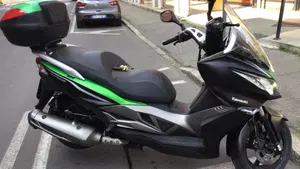 Kawasaki J 300 SE (2017 - 18)  (2)