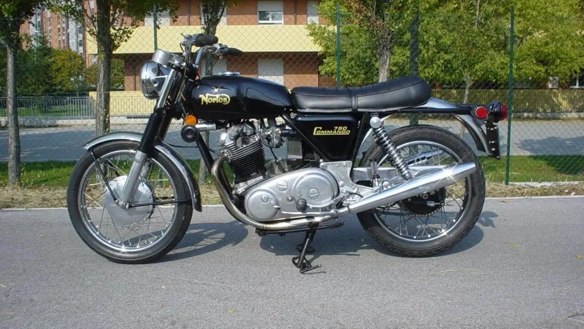 Norton  