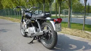 Norton   (3)