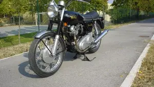 Norton   (5)