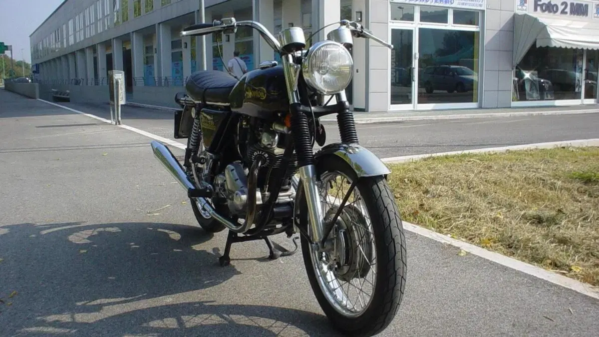Norton   (6)
