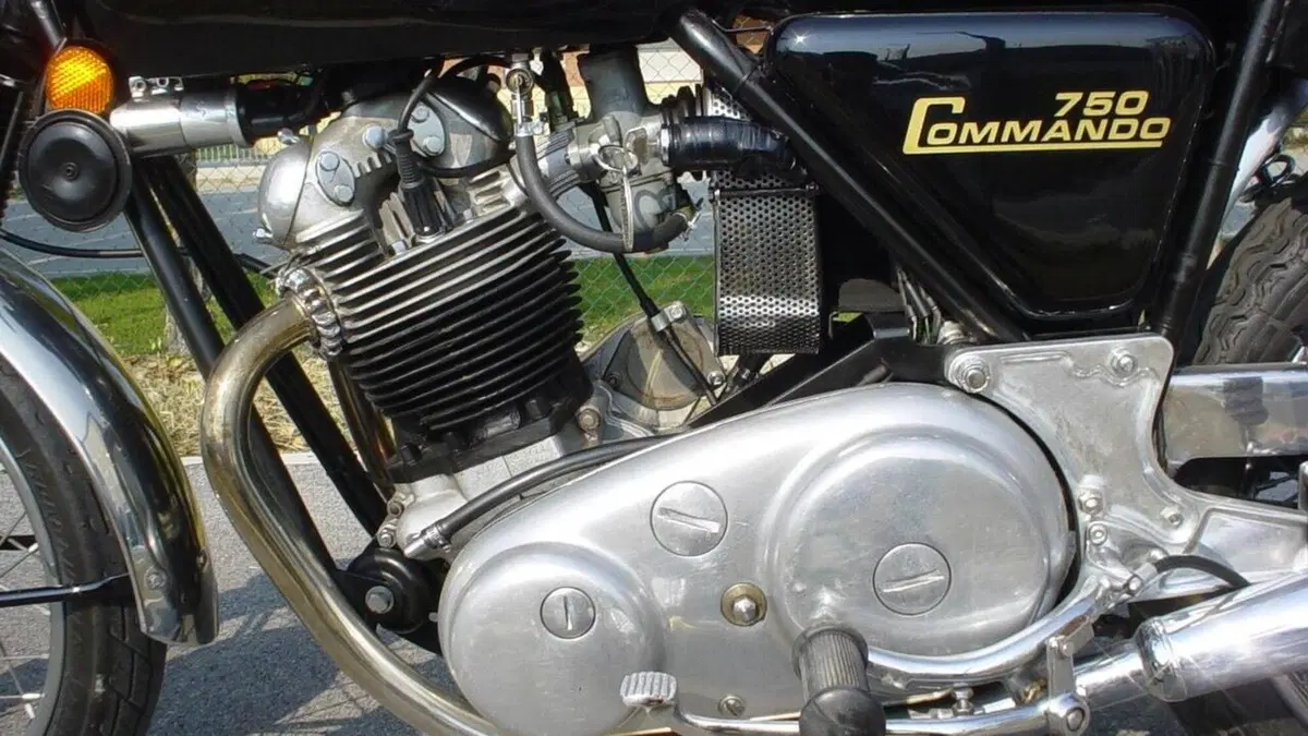 Norton   (7)