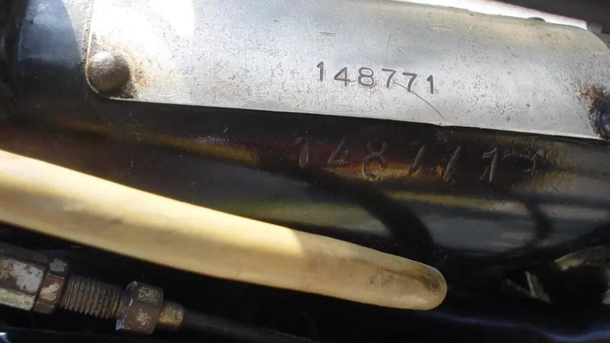 Norton   (11)