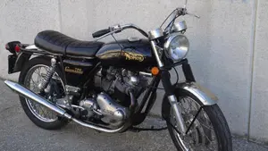 Norton   (17)