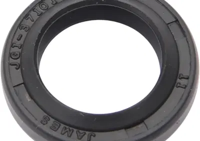 Paraolio alberino di uscita dal cambio per Touring  - Annuncio 9085618