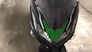 Kawasaki J 300 SE (2017 - 18)  (5)