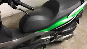 Kawasaki J 300 SE (2017 - 18)  (6)