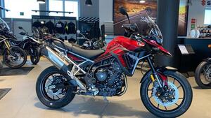 Triumph Tiger 900 GT Pro (2024 - 25) 