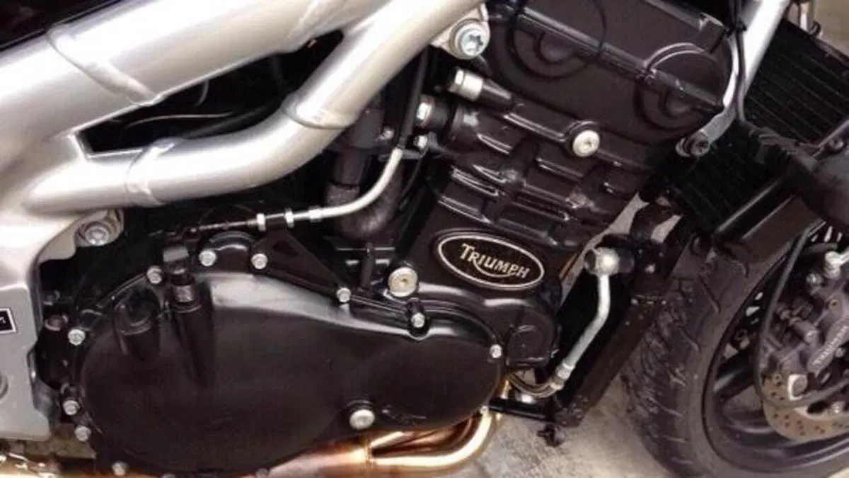 Triumph Speed Triple T 509 (1997)  (3)