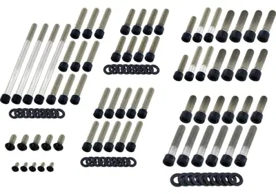 Kit viti coperchi motore nere lucide per Touring d  - Annuncio 9408923