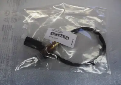 Sonda lambda Benelli TRK 502 - 502C - Leoncino 500 - Annuncio 9409148