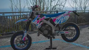 Tm Moto SMR 125 (2016)  (3)