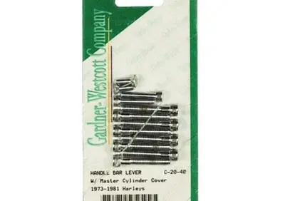 Kit viti comandi manubrio cromate a brugola per FL  - Annuncio 8554519