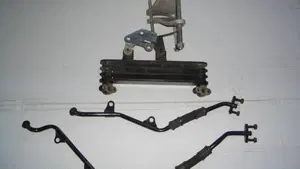 Honda   (6)