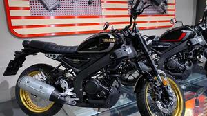 Yamaha XSR 125 Legacy (2022 - 24) 