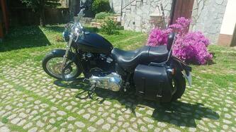 Harley-Davidson Softail Standard (2020) - FXST