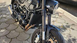 Benelli Leoncino 500 (2021 - 25) 