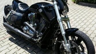Harley-Davidson 1250 V-Rod Muscle (2009 - 17) - VRSCF usata