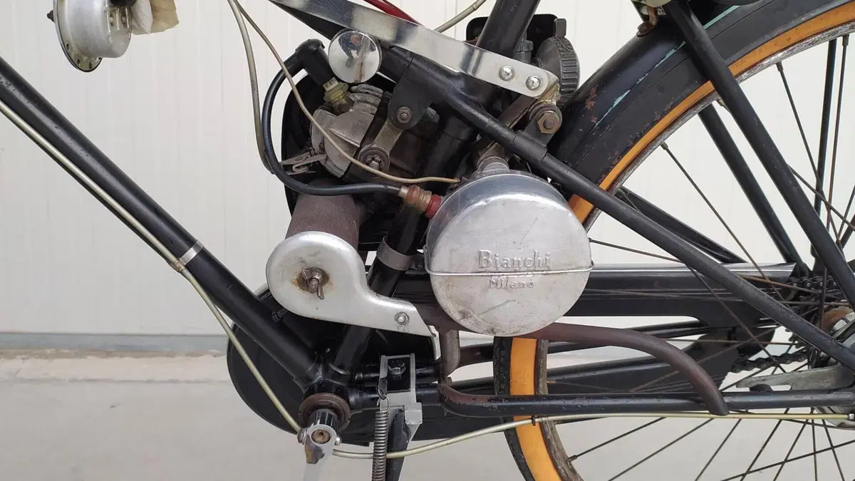 Bianchi   (5)
