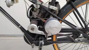 Bianchi   (5)