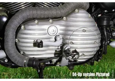 Coperchio primaria Ribster alluminio grezzo Per Sp EMD - Annuncio 8556080