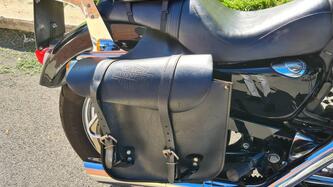 Harley-Davidson 1200 Custom (2007 - 13) - XL 1200C usata