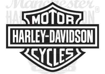 Adesivo serbatoio originale Harley Davidson rif OE  - Annuncio 9334721