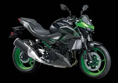 Kawasaki Z 500 SE (2024 - 26) - Annuncio 9433251