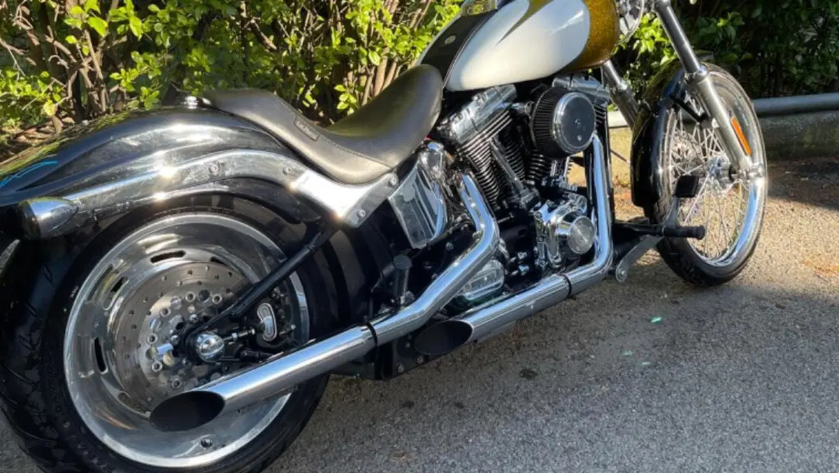 Harley-Davidson 1584 Custom (2007) - FXSTC  (3)