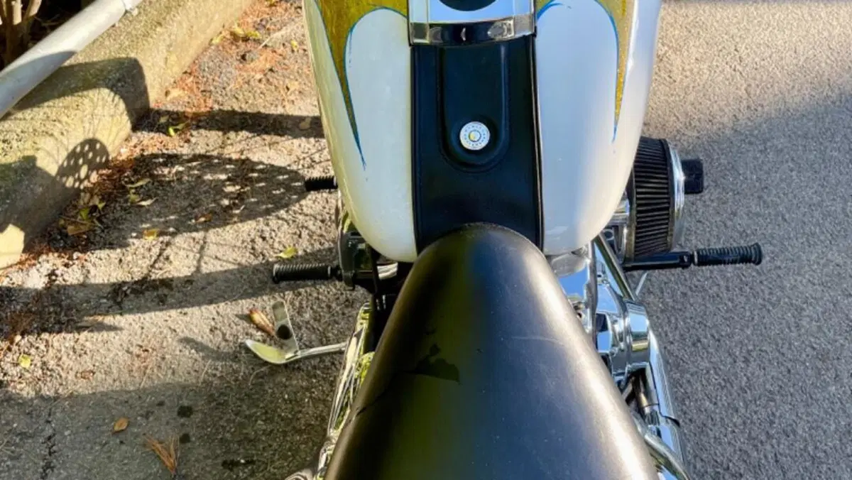 Harley-Davidson 1584 Custom (2007) - FXSTC  (4)