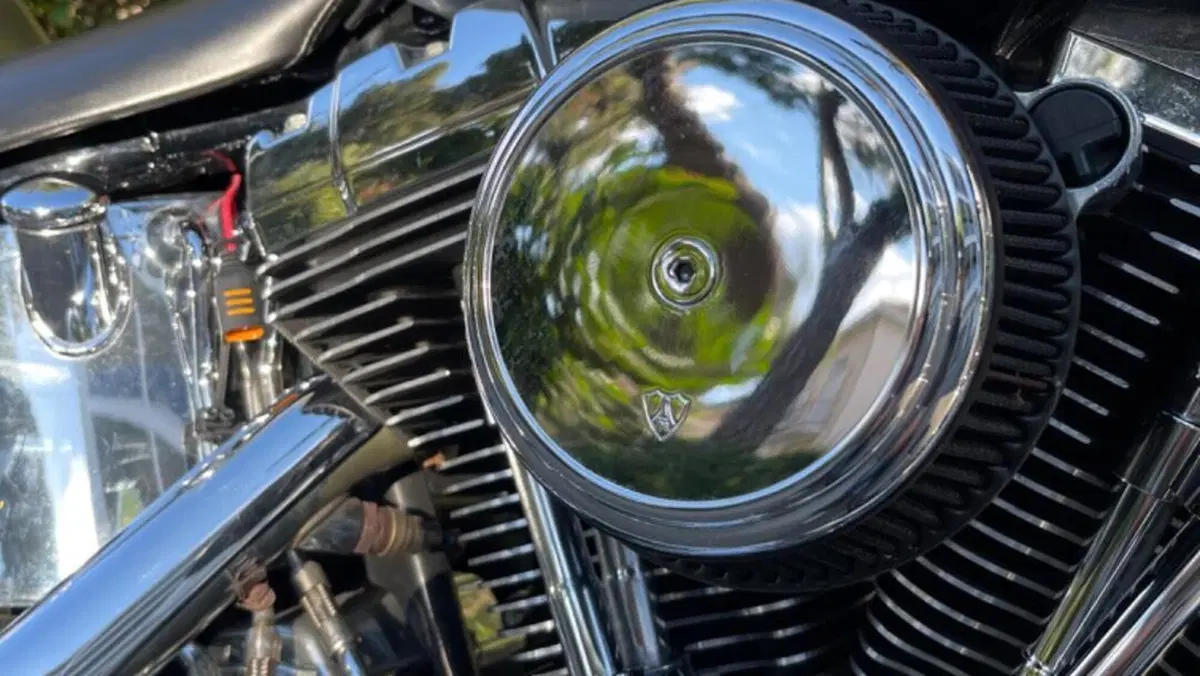 Harley-Davidson 1584 Custom (2007) - FXSTC  (5)