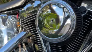 Harley-Davidson 1584 Custom (2007) - FXSTC  (5)