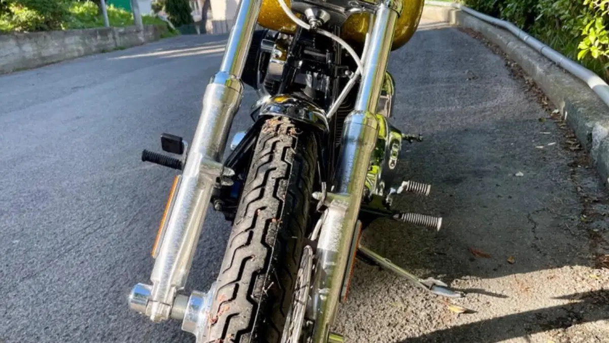 Harley-Davidson 1584 Custom (2007) - FXSTC  (6)