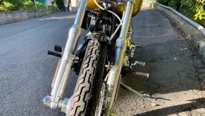 Harley-Davidson 1584 Custom (2007) - FXSTC  (6)