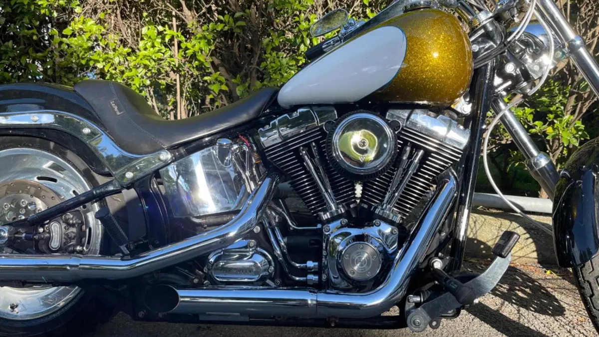 Harley-Davidson 1584 Custom (2007) - FXSTC  (7)