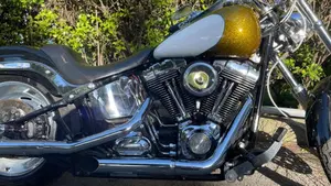 Harley-Davidson 1584 Custom (2007) - FXSTC  (7)