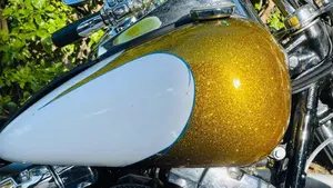 Harley-Davidson 1584 Custom (2007) - FXSTC  (8)