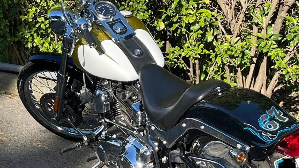 Harley-Davidson 1584 Custom (2007) - FXSTC  (9)