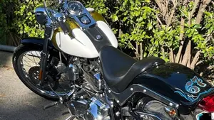 Harley-Davidson 1584 Custom (2007) - FXSTC  (9)